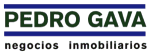 PEDRO GAVA